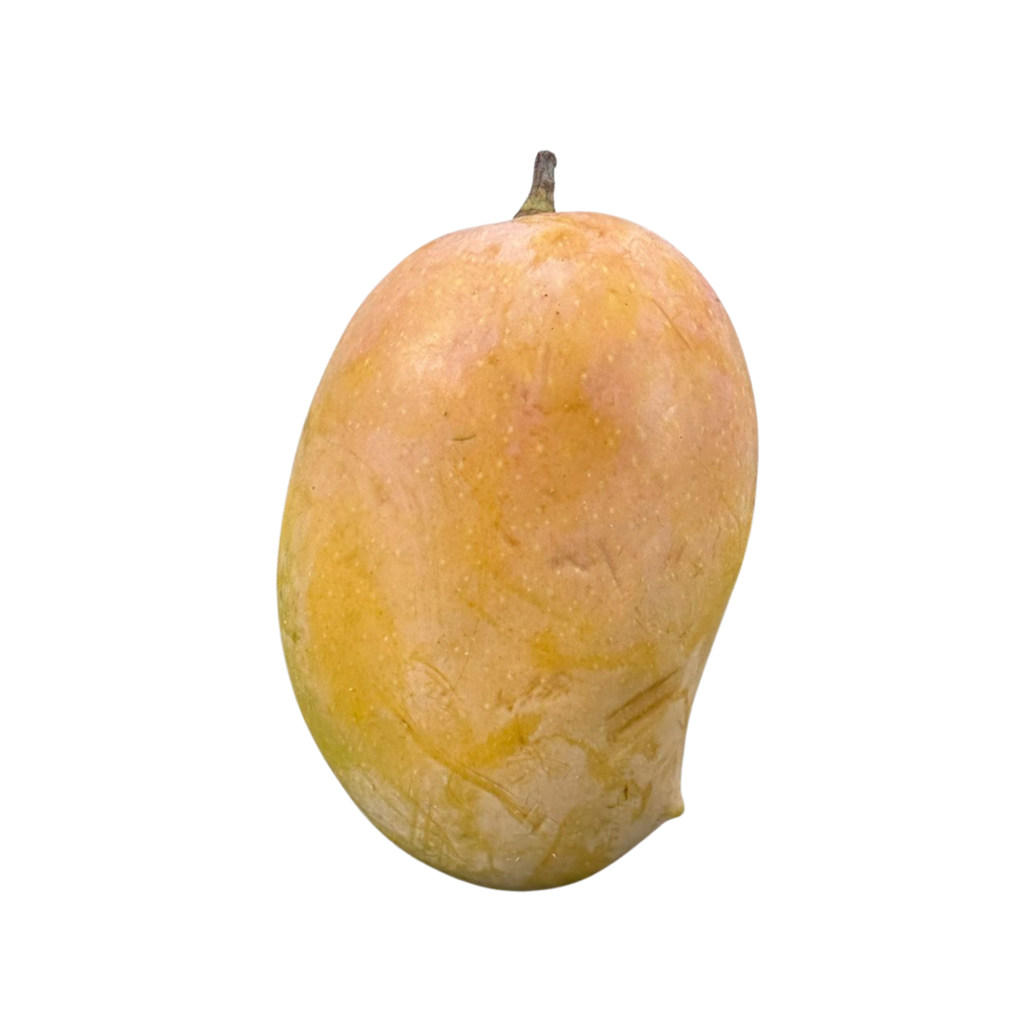 Kesar Badam Mango India 1 ctn (15 pcs)