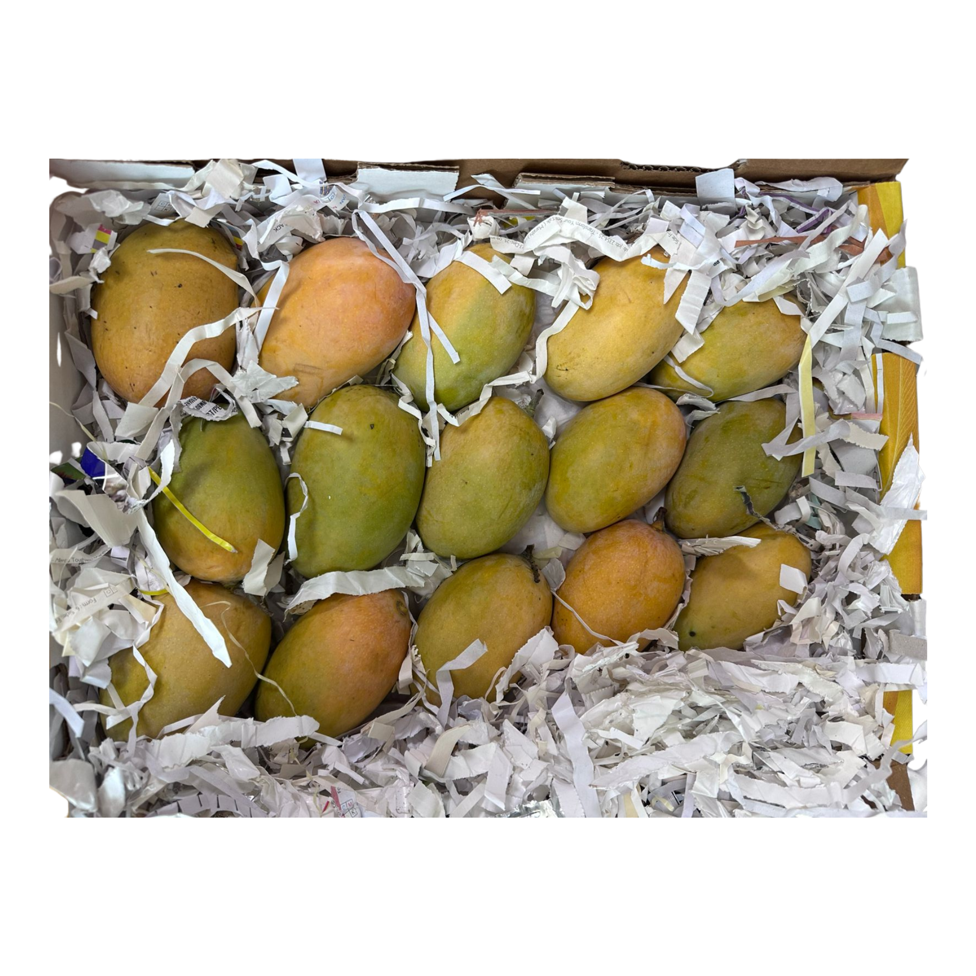Kesar Badam Mango India 1 ctn (15 pcs)