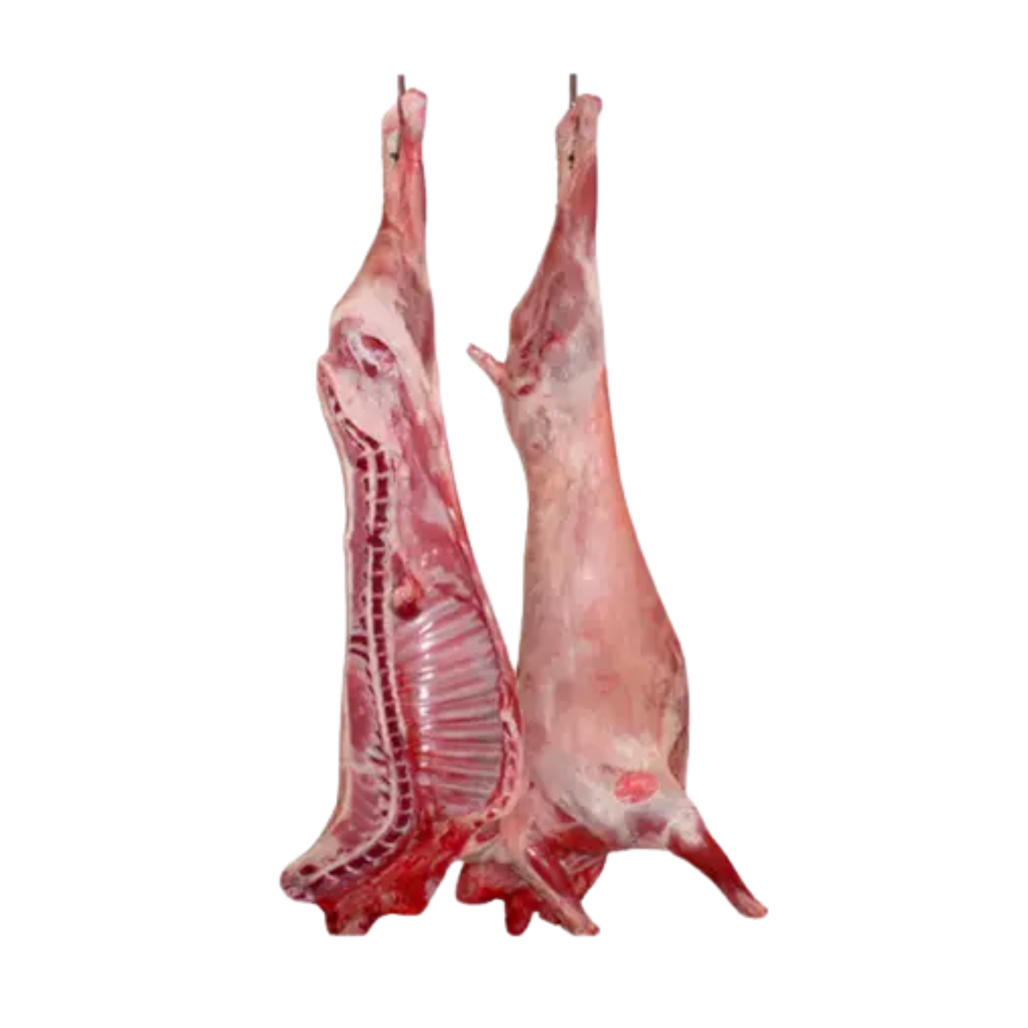 Fresh Ethiopian Mutton Full Carcass (approx 8 kg - 10 kg)