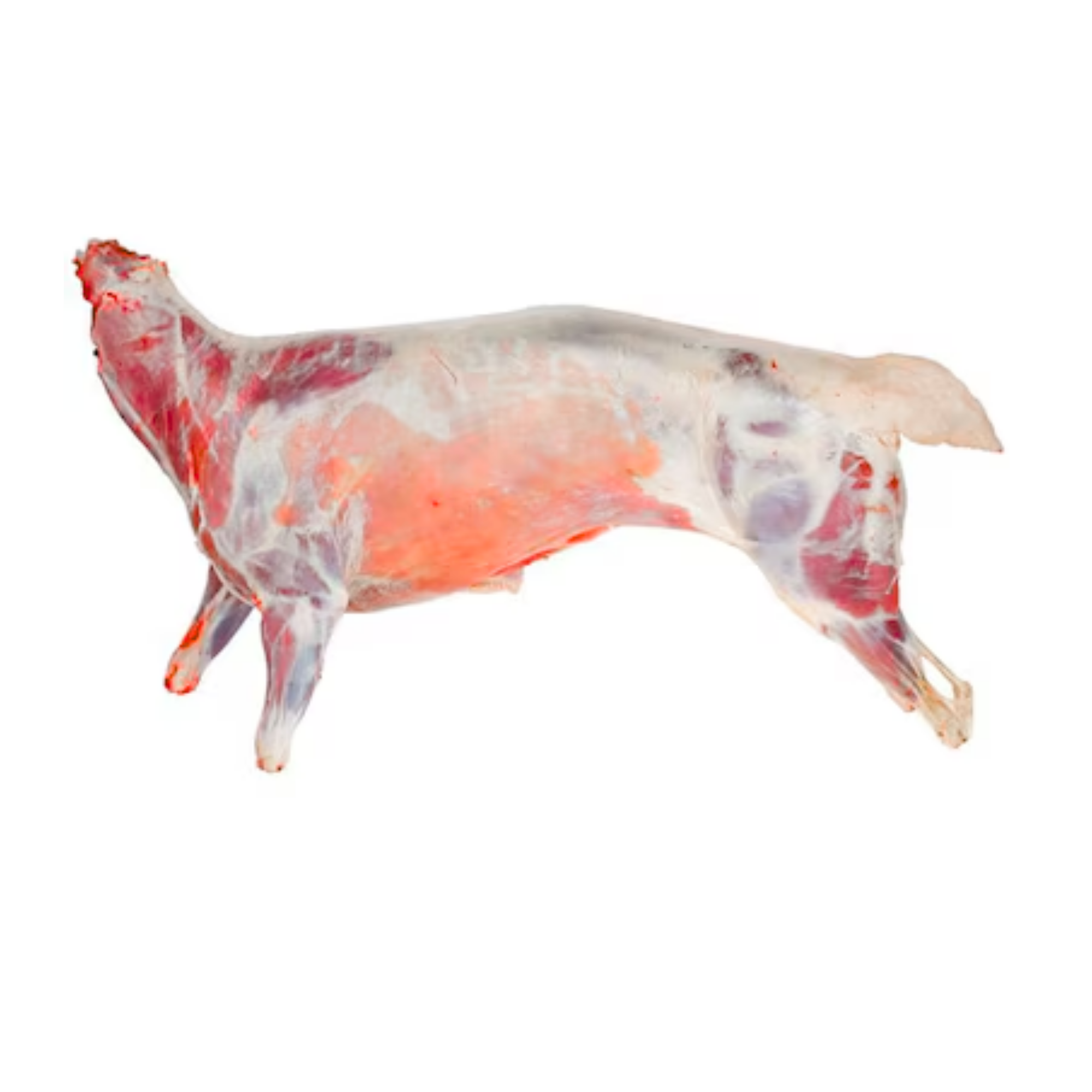 Fresh Kenyan Mutton Full Carcass (approx 8 kg - 10 kg)