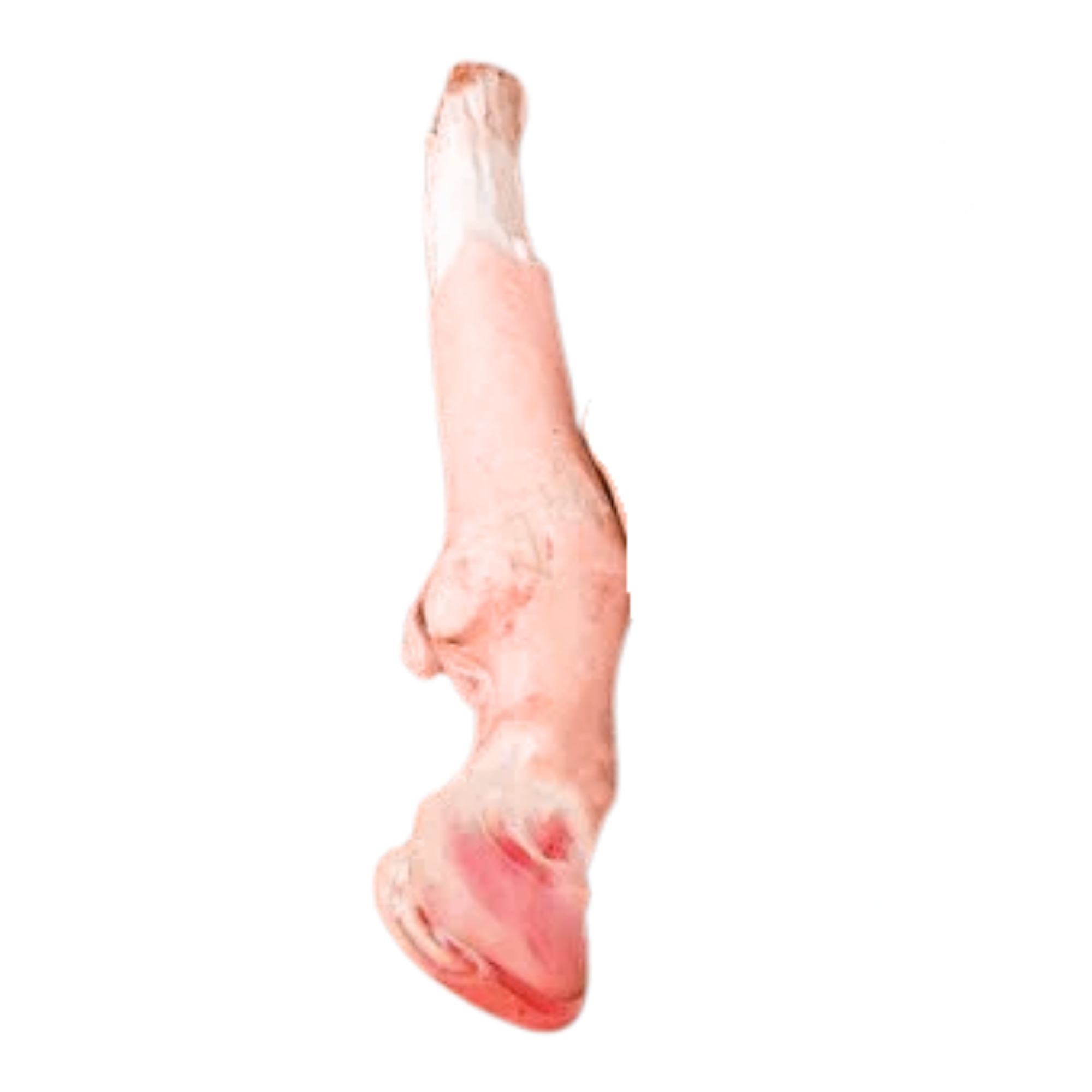 Fresh Mutton Leg (Paya)