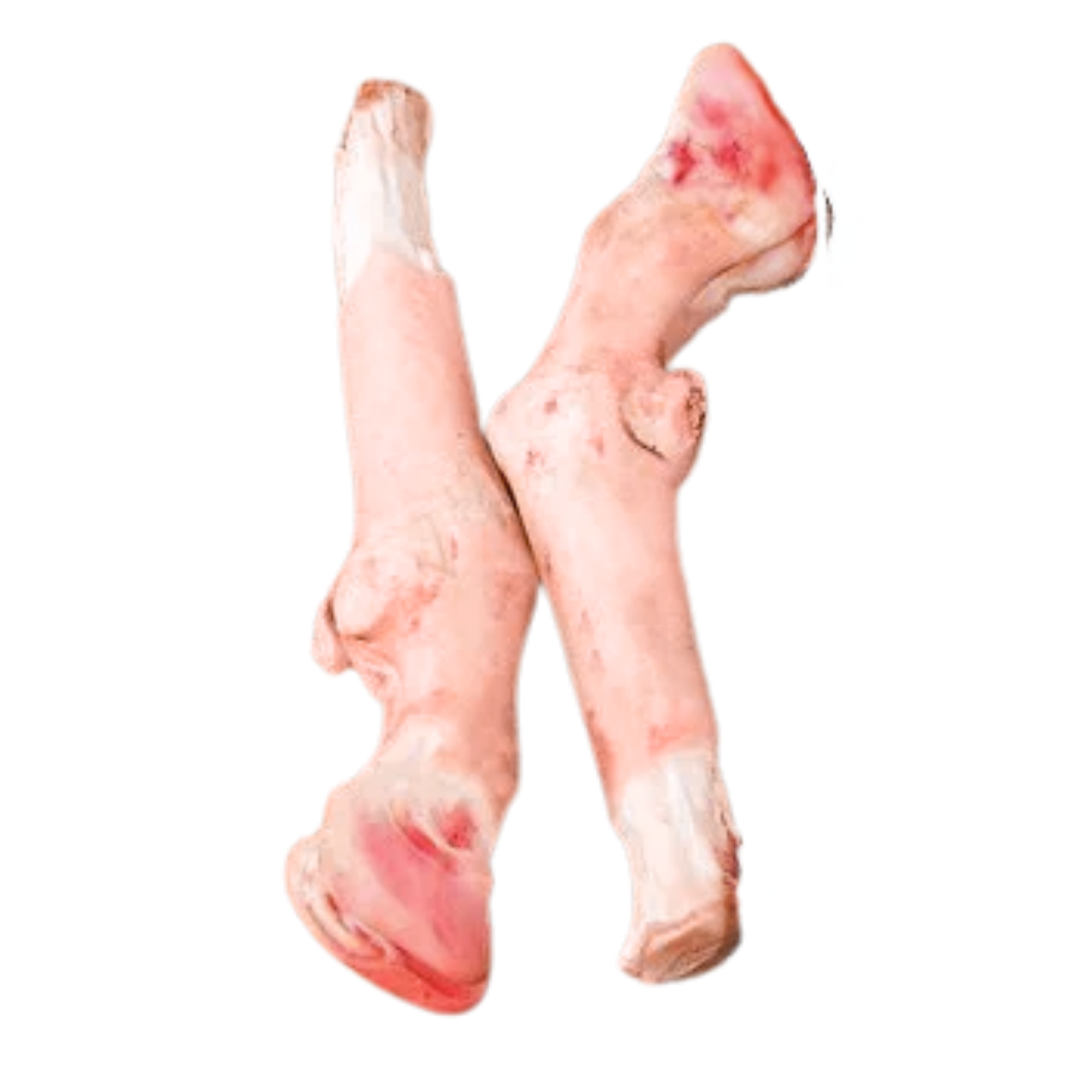 Fresh Mutton Leg (Paya)